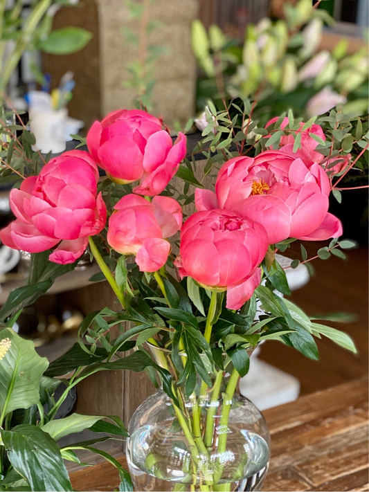 Peony Subscription